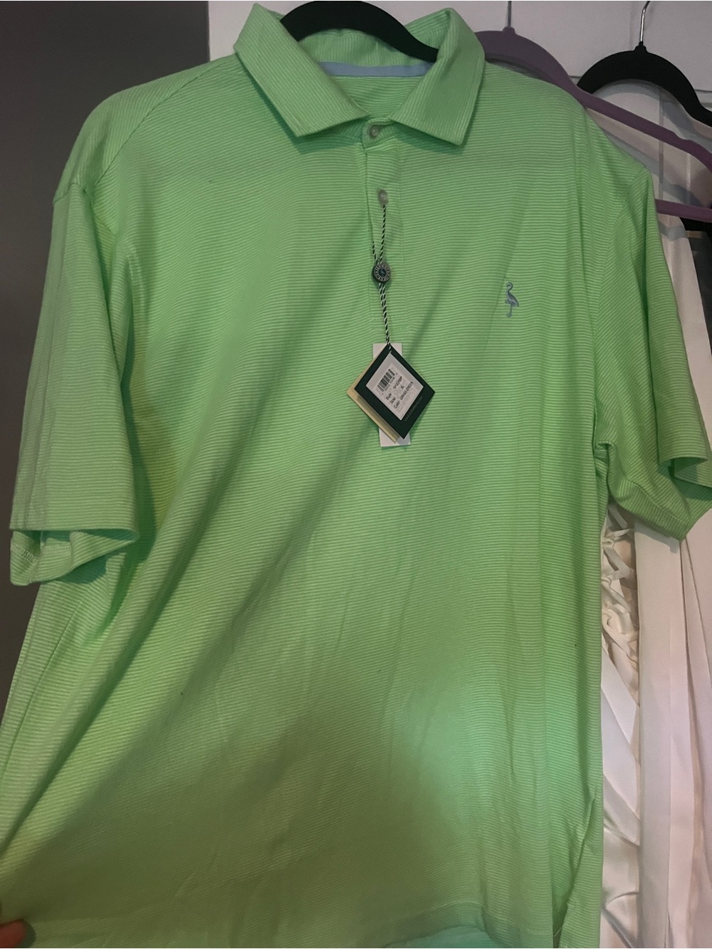 Tailorbyrd Men's Polo in Pale Green with Embroidered Flamingo